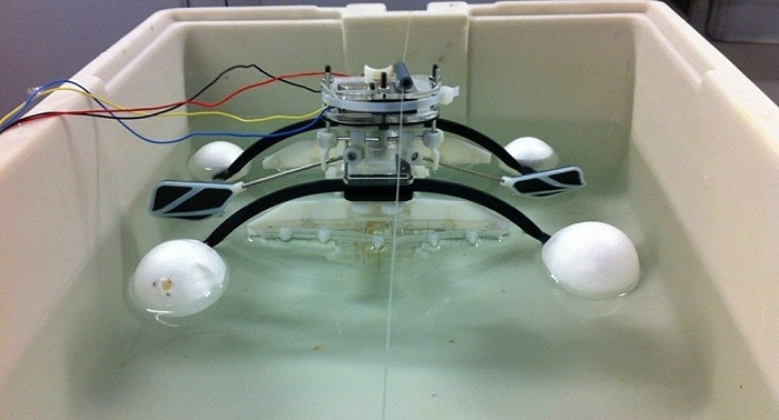 British engineers create robot that devours living organisms